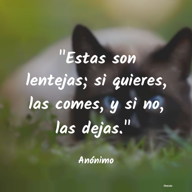 frases
