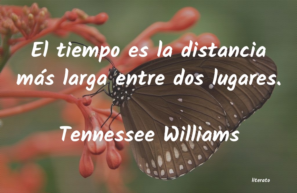 frases de Tennessee Williams