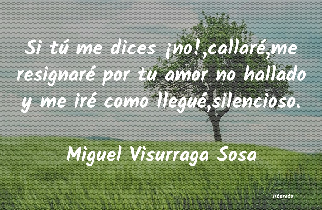 frases de Miguel Visurraga Sosa