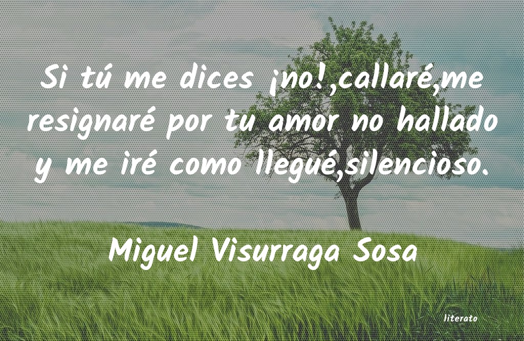 Frases de Miguel Visurraga Sosa