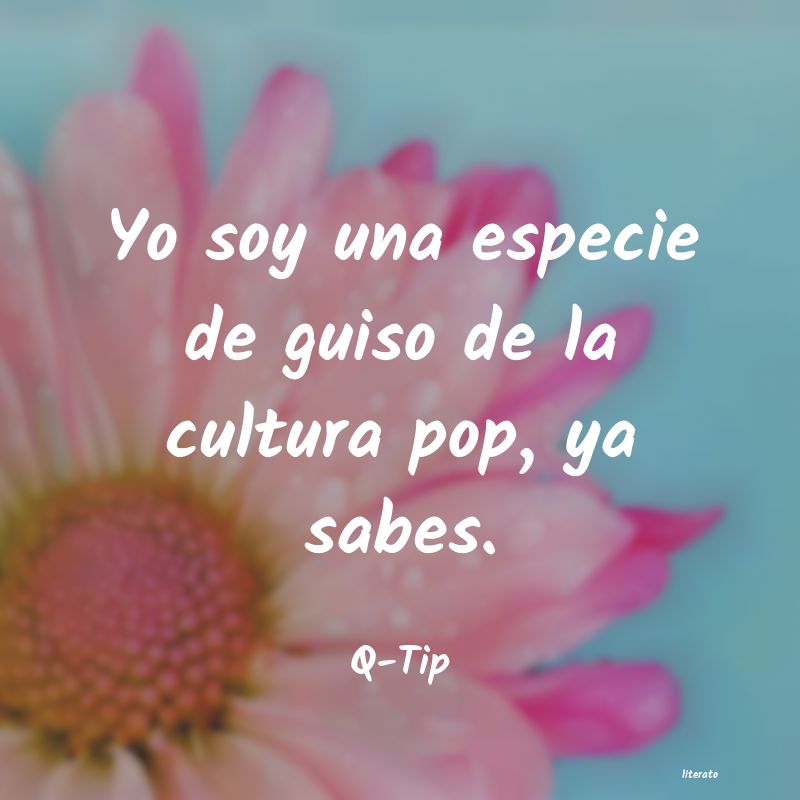 Frases de Q-Tip