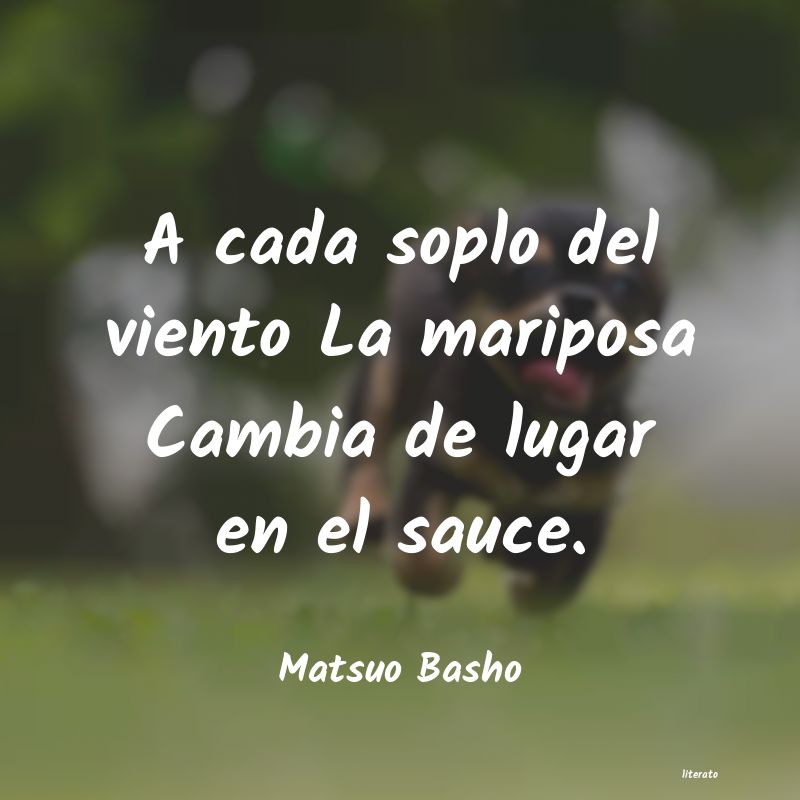 frases de Matsuo Basho