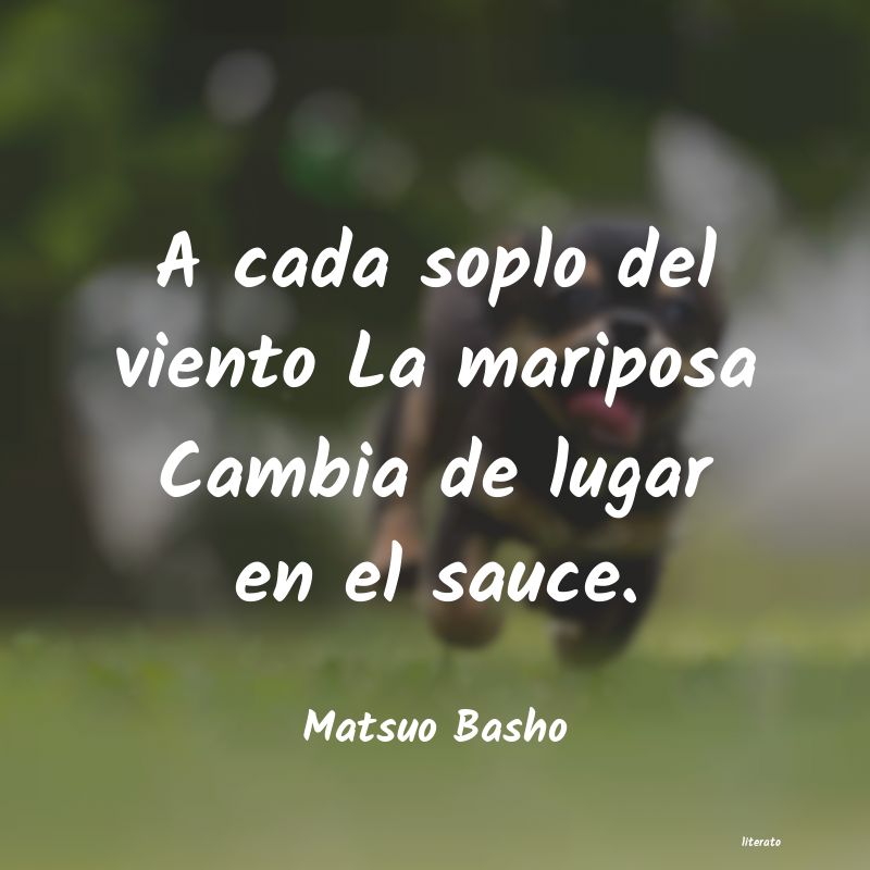 Frases de Matsuo Basho