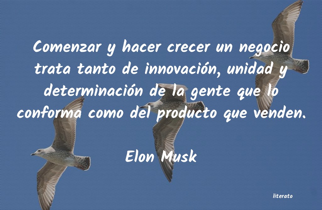 frases de Elon Musk