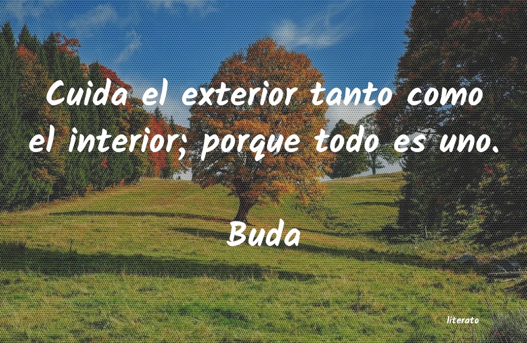 Frases de Buda