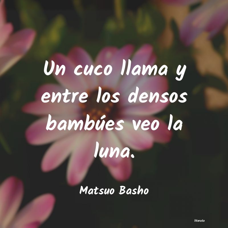 Frases de Matsuo Basho