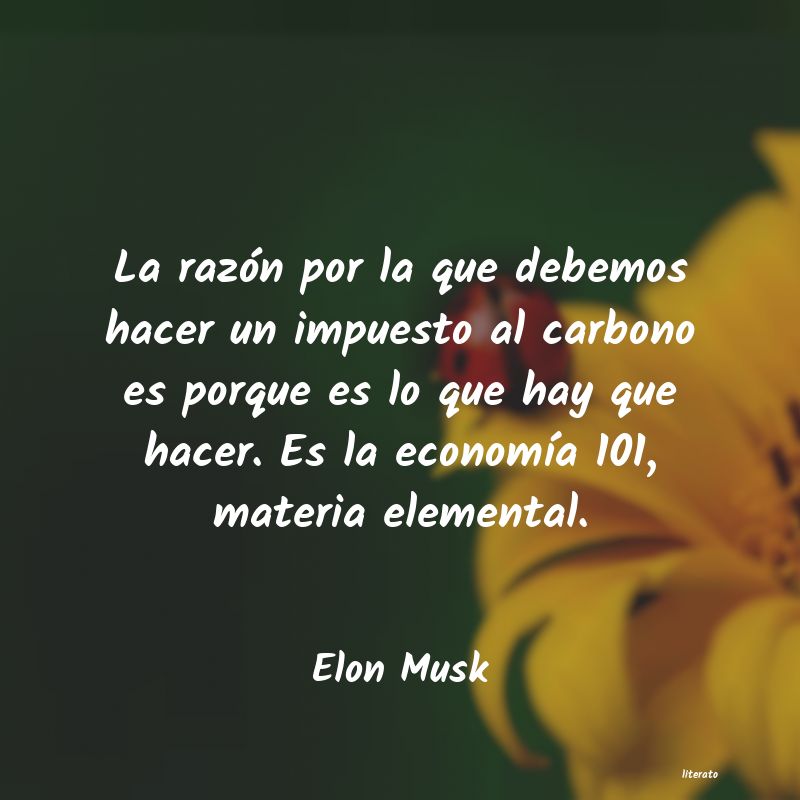 frases de Elon Musk