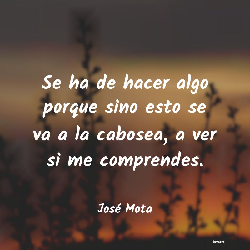 Frases de José Mota