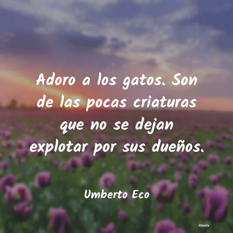 Frases de Umberto Eco