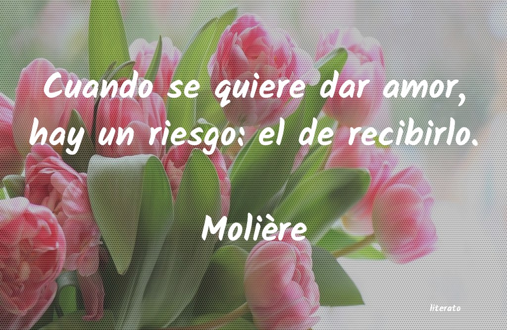 frases de Molière