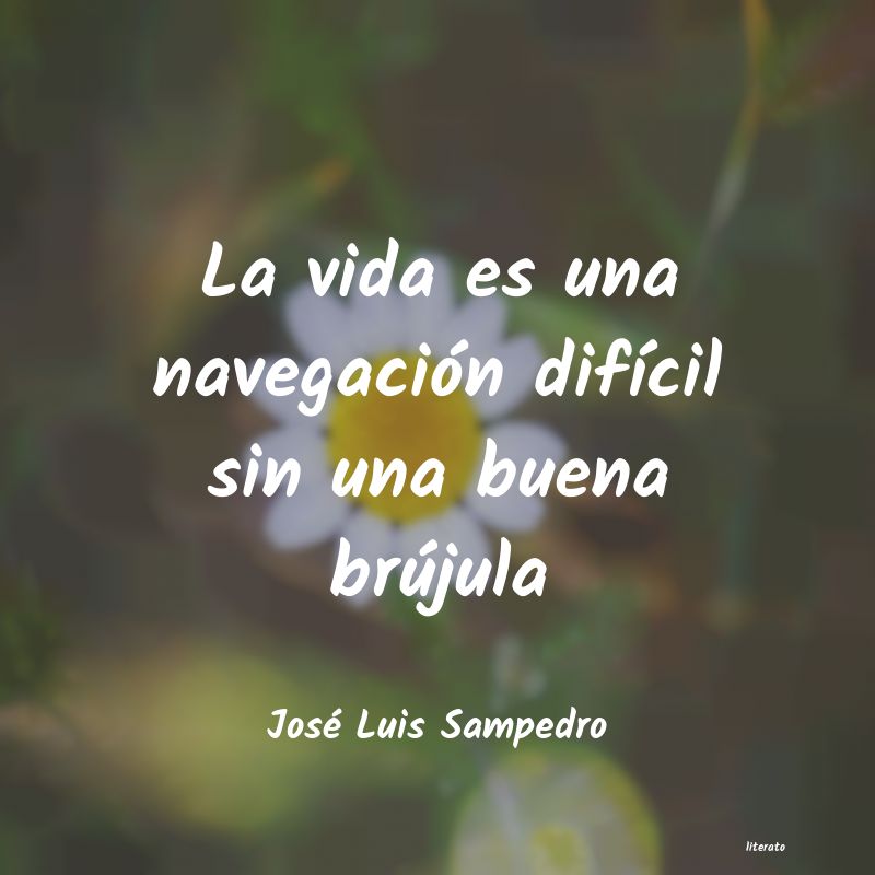 Frases de José Luis Sampedro