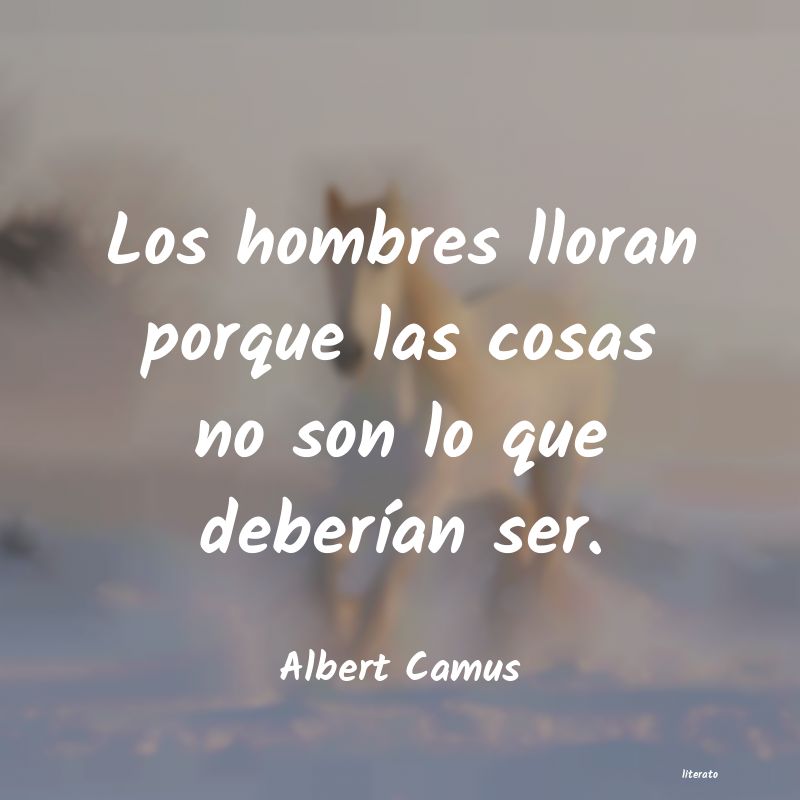 Frases de Albert Camus