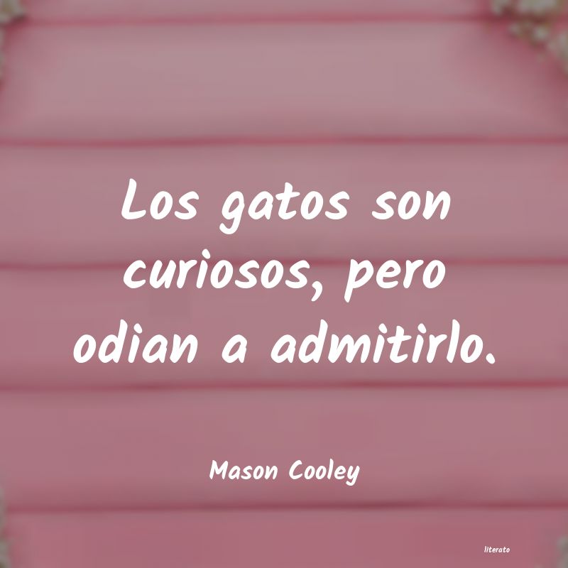 Frases de Mason Cooley