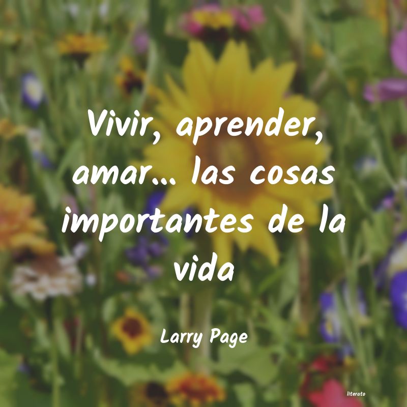 Frases de Larry Page