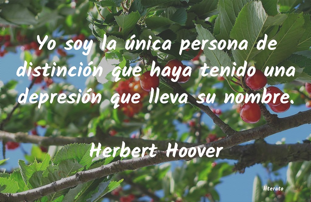 Frases de Herbert Hoover