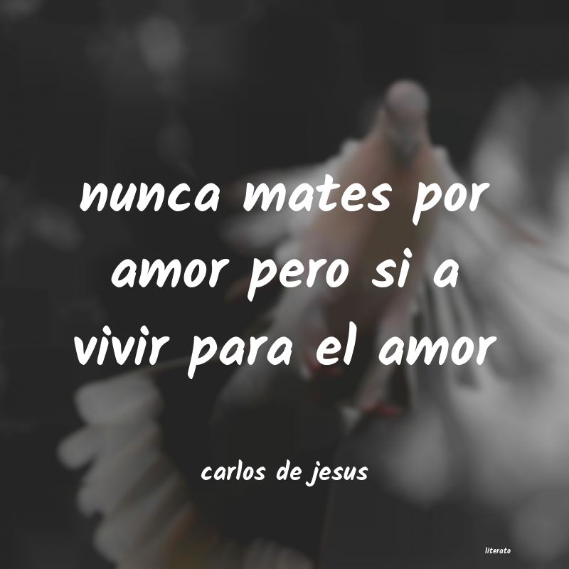 frases de carlos de jesus