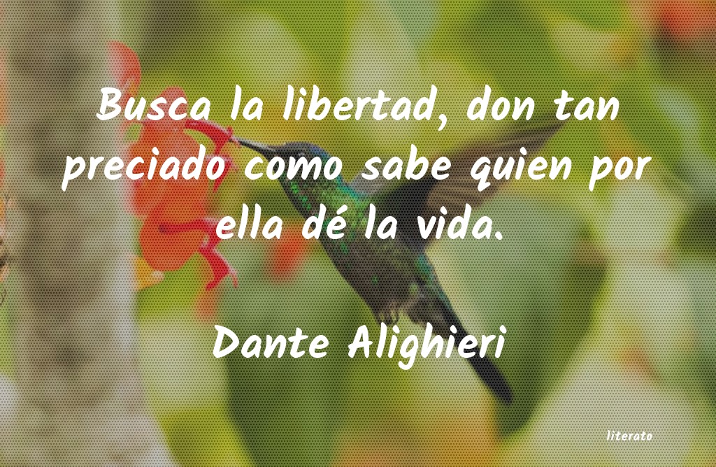 Frases de Dante Alighieri