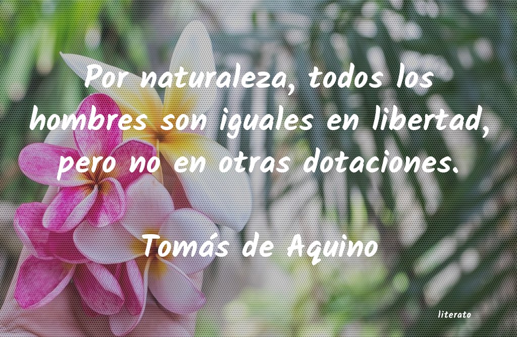 Frases de Tomás de Aquino