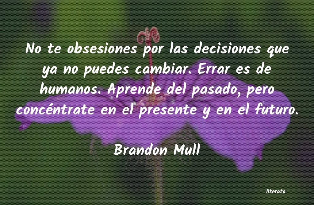 frases de Brandon Mull