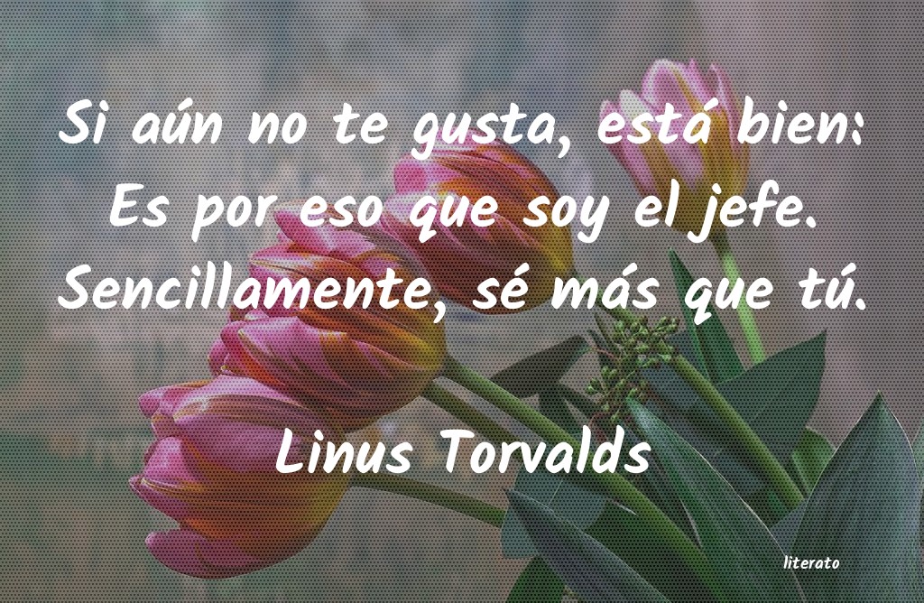 frases de Linus Torvalds