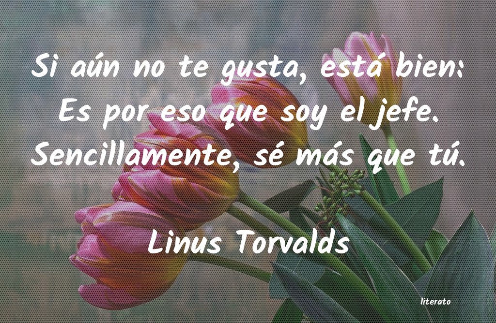 Frases de Linus Torvalds