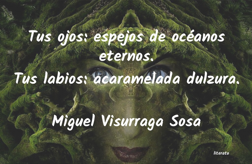 frases de Miguel Visurraga Sosa
