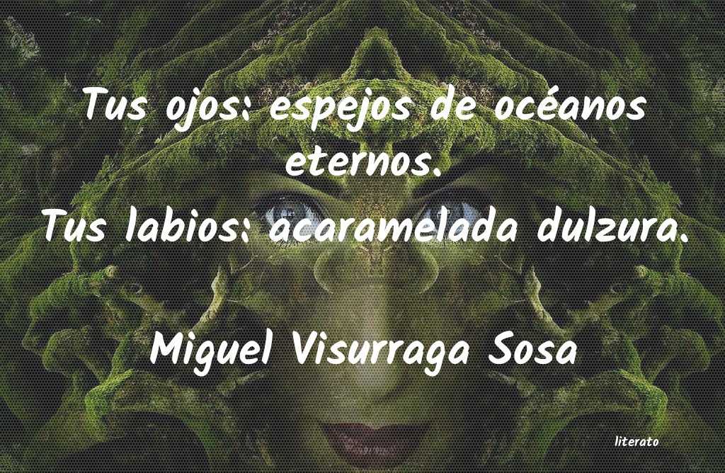 Frases de Miguel Visurraga Sosa