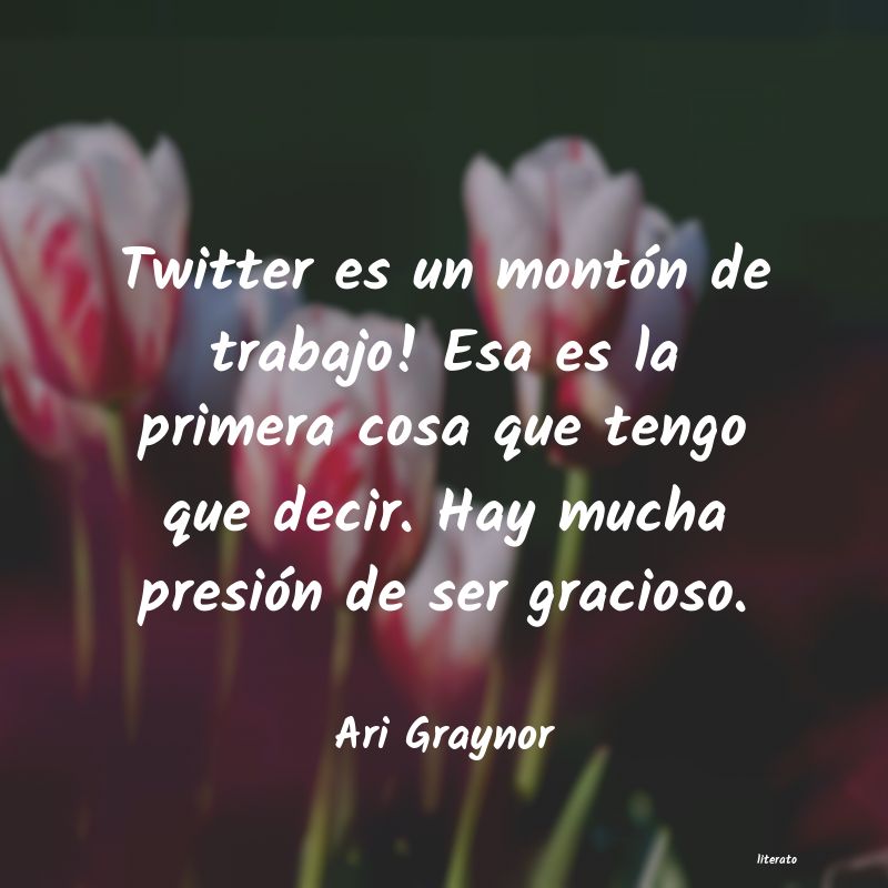 Frases de Ari Graynor