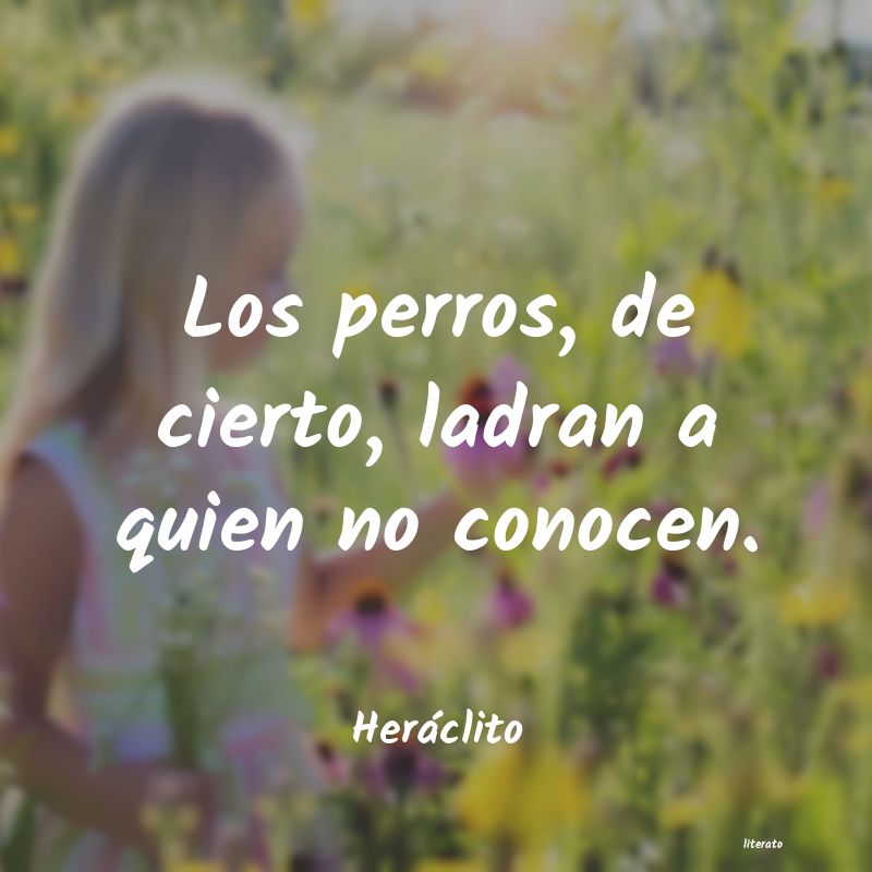 frases de Heráclito
