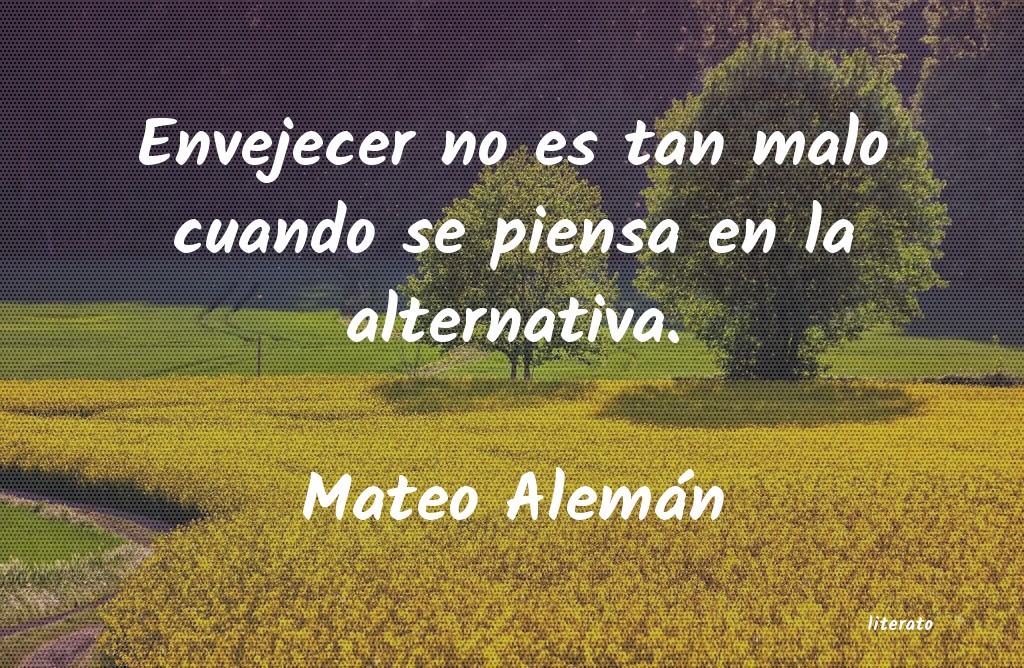 Frases de Mateo Alemán