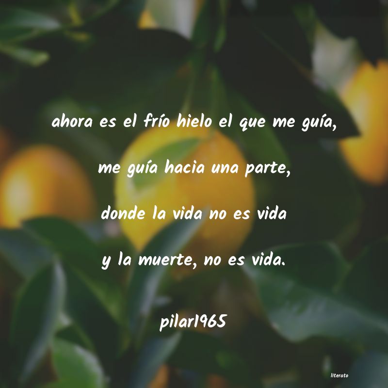 frases de pilar1965
