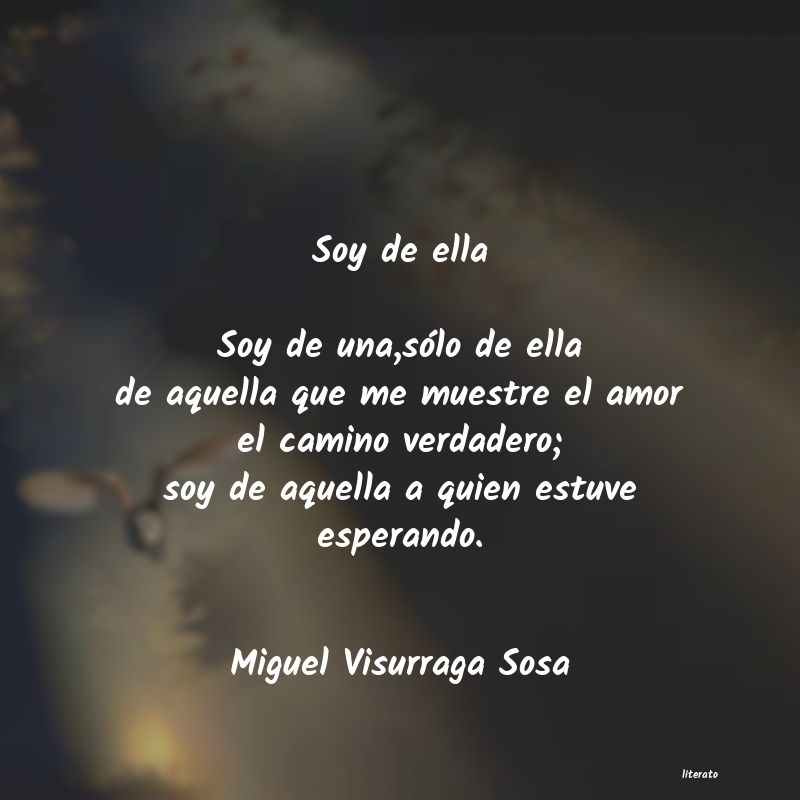 Frases de Miguel Visurraga Sosa