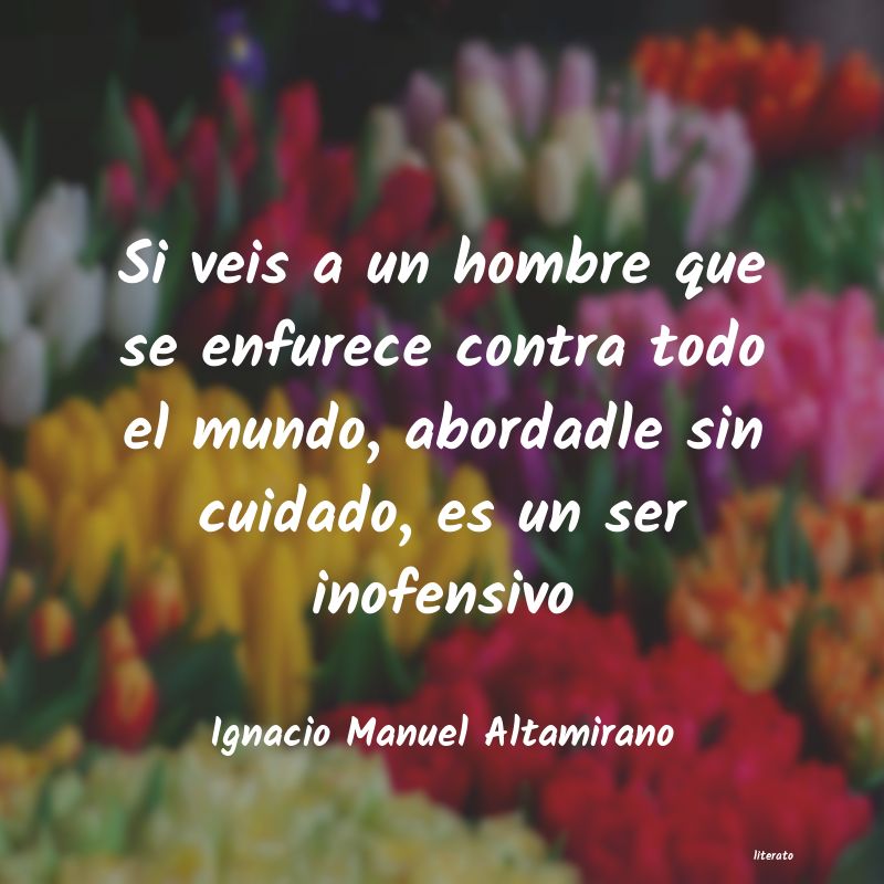 frases de Ignacio Manuel Altamirano