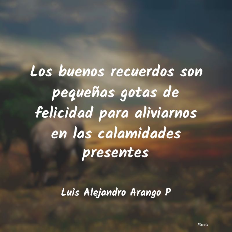 Frases de Luis Alejandro Arango P