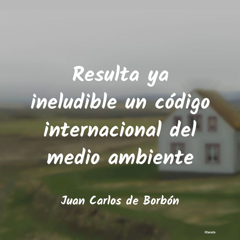 frases de Juan Carlos de Borbón