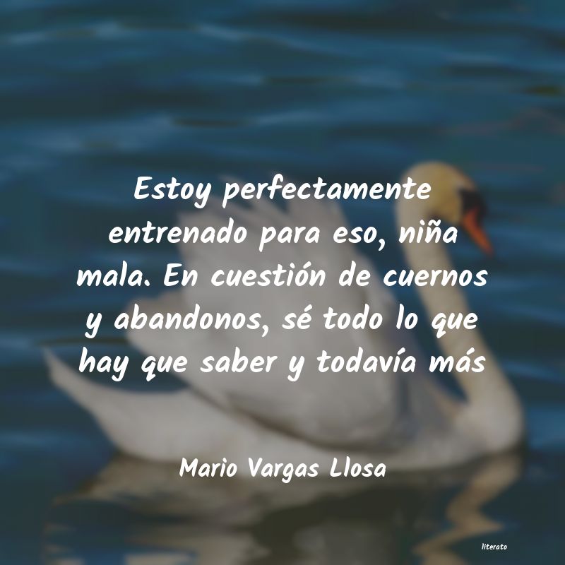 frases de Mario Vargas Llosa