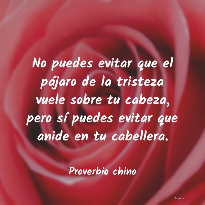 Frases de Proverbio chino