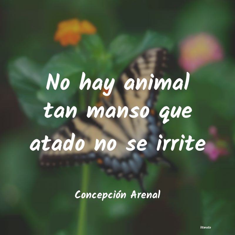 frases de Concepción Arenal