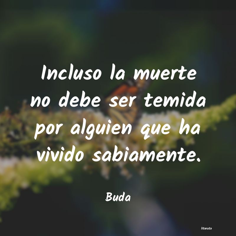 Frases de Buda