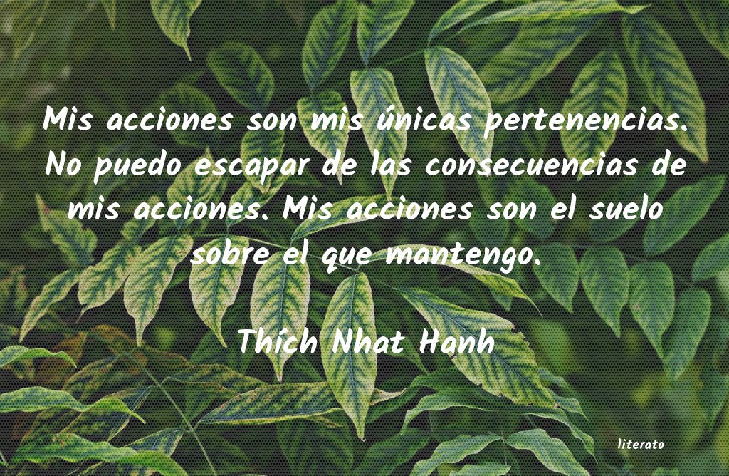 frases de ThÃch Nhat Hanh