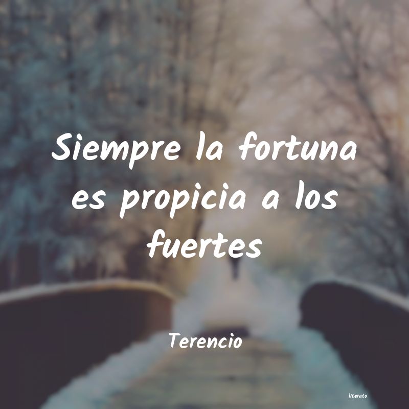 Frases de Terencio