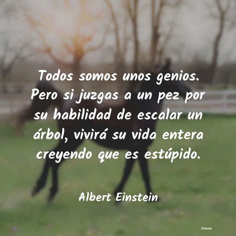 albert einstein citas simple
