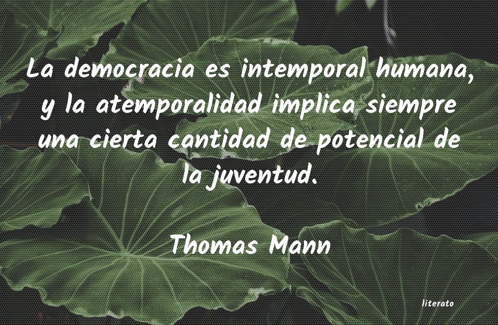 Frases de Thomas Mann