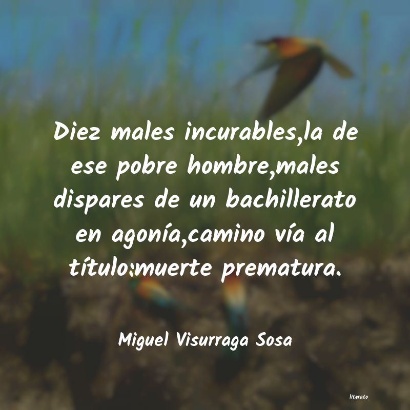 Frases de Miguel Visurraga Sosa