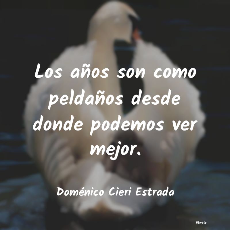 frases de Doménico Cieri Estrada