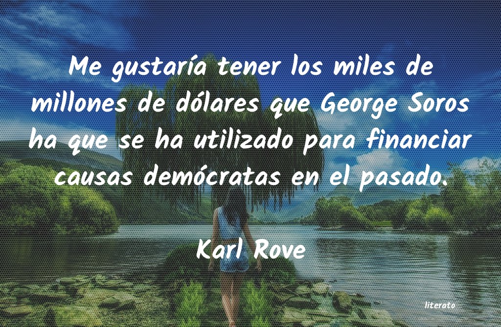 frases de Karl Rove