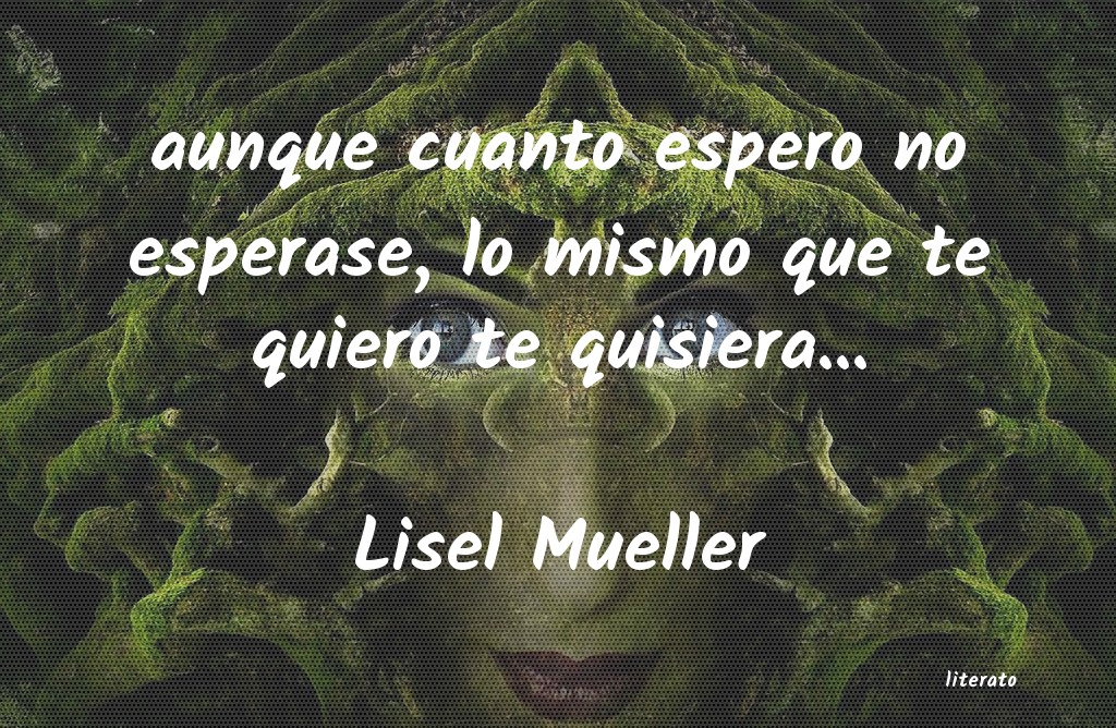 frases de Lisel Mueller