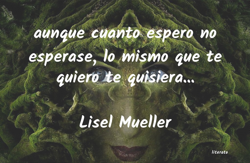 Frases de Lisel Mueller