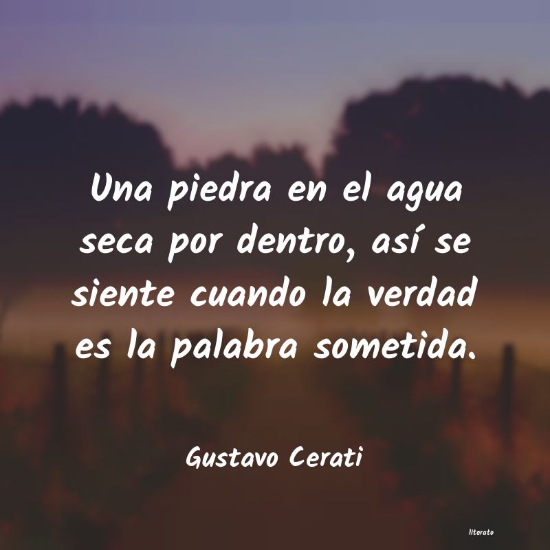 Frases de Gustavo Cerati