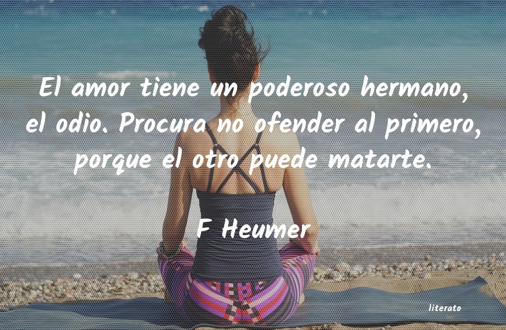 Frases de F Heumer